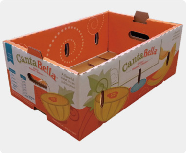 Printed-Corrugated-Fruit-Orange-Box